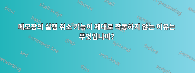 메모장의 실행 취소 기능이 제대로 작동하지 않는 이유는 무엇입니까?