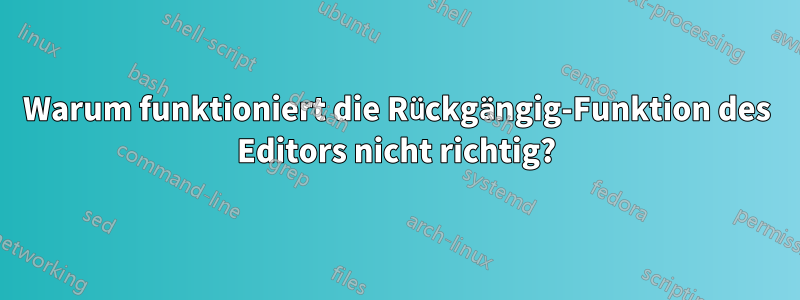 Warum funktioniert die Rückgängig-Funktion des Editors nicht richtig?