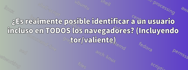 ¿Es realmente posible identificar a un usuario incluso en TODOS los navegadores? (Incluyendo tor/valiente)