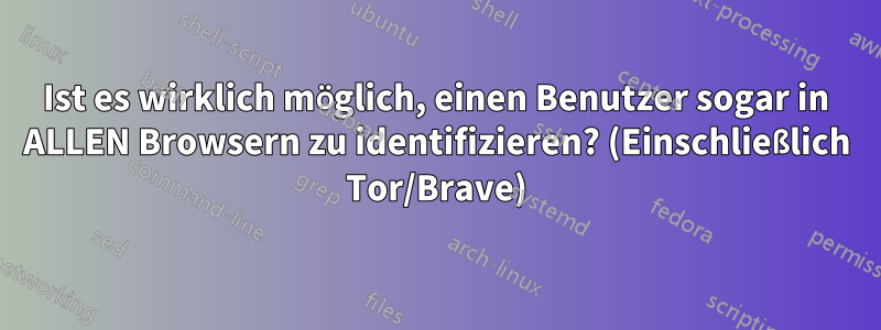 Ist es wirklich möglich, einen Benutzer sogar in ALLEN Browsern zu identifizieren? (Einschließlich Tor/Brave)