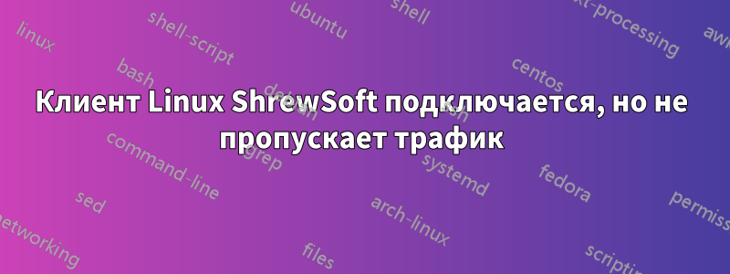 Клиент Linux ShrewSoft подключается, но не пропускает трафик