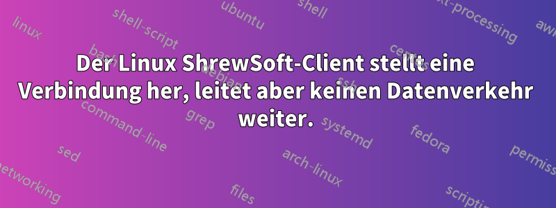 Der Linux ShrewSoft-Client stellt eine Verbindung her, leitet aber keinen Datenverkehr weiter.