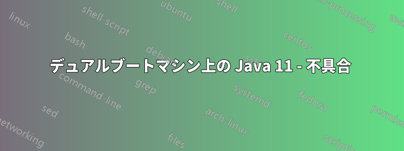 デュアルブートマシン上の Java 11 - 不具合