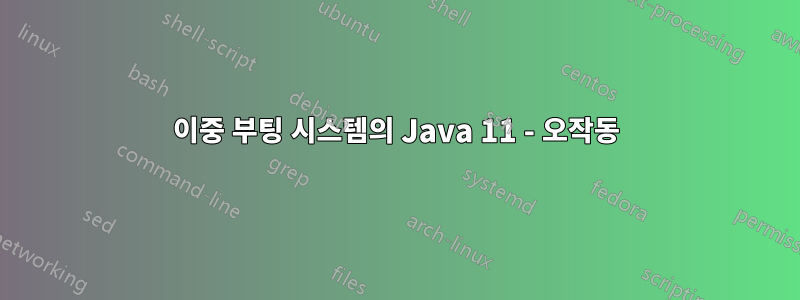 이중 부팅 시스템의 Java 11 - 오작동