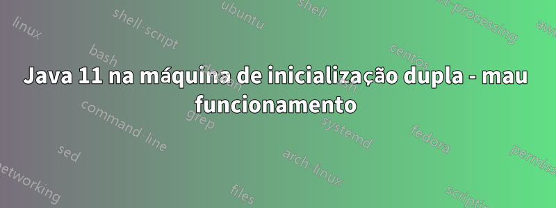 Java 11 na máquina de inicialização dupla - mau funcionamento