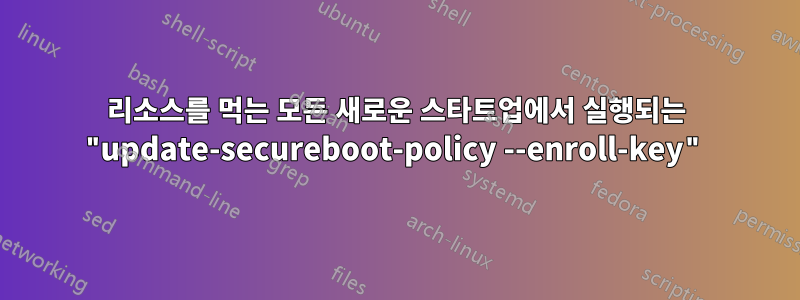 리소스를 먹는 모든 새로운 스타트업에서 실행되는 "update-secureboot-policy --enroll-key"