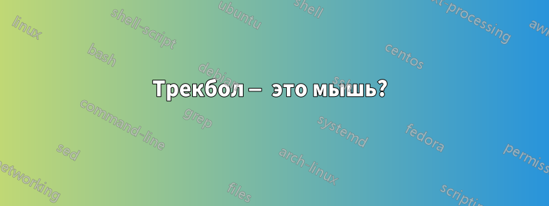 Трекбол — это мышь? 