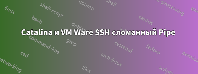 Catalina и VM Ware SSH сломанный Pipe