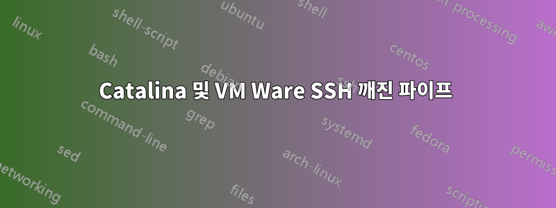 Catalina 및 VM Ware SSH 깨진 파이프