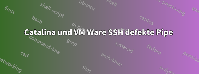 Catalina und VM Ware SSH defekte Pipe