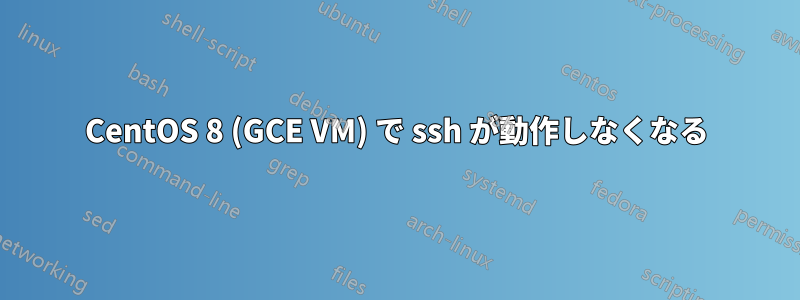 CentOS 8 (GCE VM) で ssh が動作しなくなる