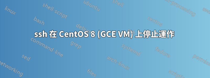 ssh 在 CentOS 8 (GCE VM) 上停止運作