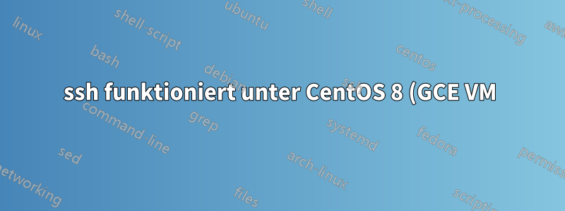 ssh funktioniert unter CentOS 8 (GCE VM) nicht mehr