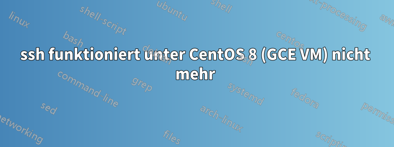 ssh funktioniert unter CentOS 8 (GCE VM) nicht mehr