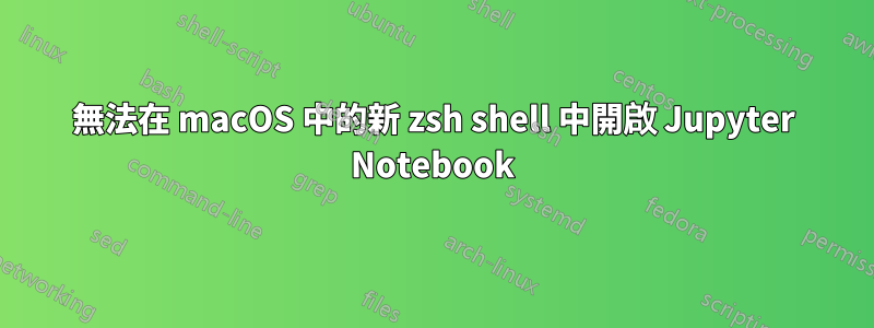 無法在 macOS 中的新 zsh shell 中開啟 Jupyter Notebook