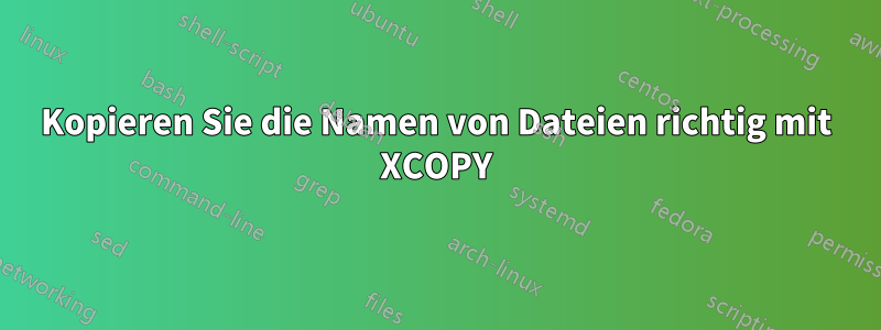 Kopieren Sie die Namen von Dateien richtig mit XCOPY