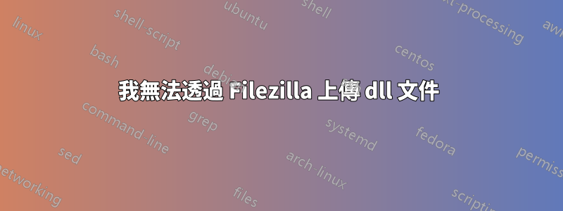 我無法透過 Filezilla 上傳 dll 文件