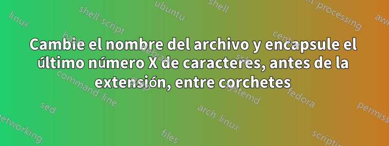 Cambie el nombre del archivo y encapsule el último número X de caracteres, antes de la extensión, entre corchetes