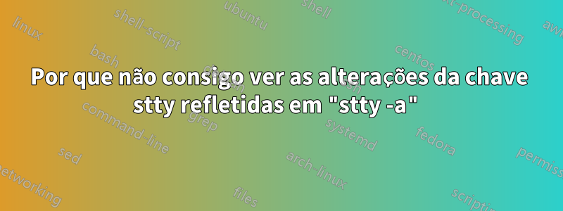 Por que não consigo ver as alterações da chave stty refletidas em "stty -a"