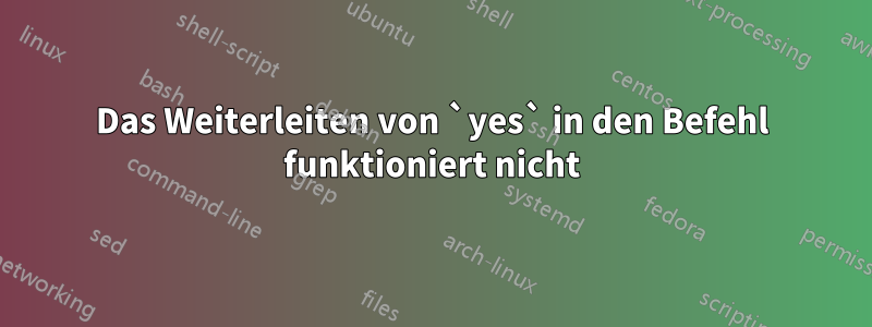 Das Weiterleiten von `yes` in den Befehl funktioniert nicht