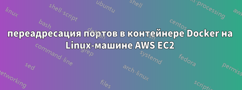 переадресация портов в контейнере Docker на Linux-машине AWS EC2