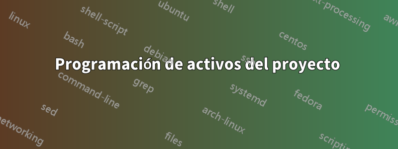 Programación de activos del proyecto