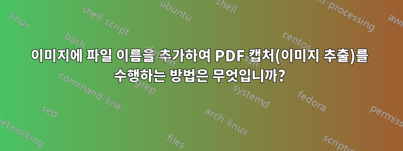 이미지에 파일 이름을 추가하여 PDF 캡처(이미지 추출)를 수행하는 방법은 무엇입니까?