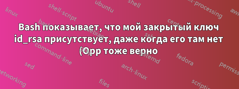 Bash показывает, что мой закрытый ключ id_rsa присутствует, даже когда его там нет (Opp тоже верно). Как так?