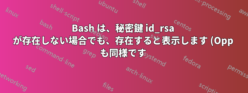 Bash は、秘密鍵 id_rsa が存在しない場合でも、存在すると表示します (Opp も同様です)。どうしてでしょうか?