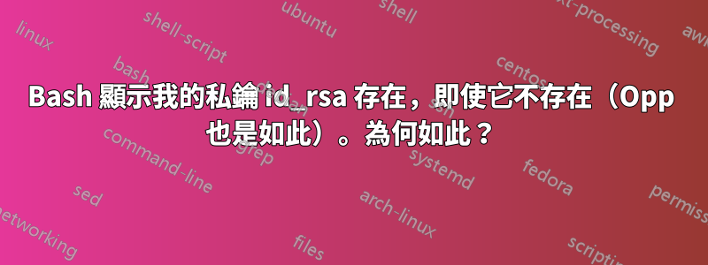 Bash 顯示我的私鑰 id_rsa 存在，即使它不存在（Opp 也是如此）。為何如此？