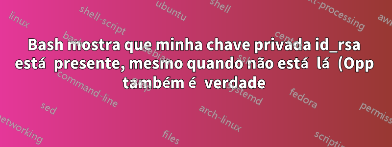 Bash mostra que minha chave privada id_rsa está presente, mesmo quando não está lá (Opp também é verdade). Como assim?