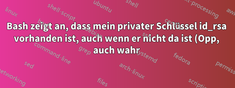 Bash zeigt an, dass mein privater Schlüssel id_rsa vorhanden ist, auch wenn er nicht da ist (Opp, auch wahr). Wie das?