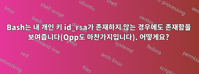 Bash는 내 개인 키 id_rsa가 존재하지 않는 경우에도 존재함을 보여줍니다(Opp도 마찬가지입니다). 어떻게요?