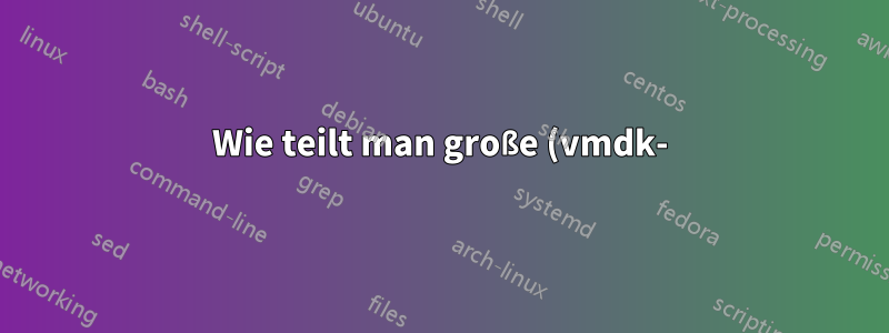 Wie teilt man große (vmdk-)Dateien auf einem ESXi 6.0-Host auf?