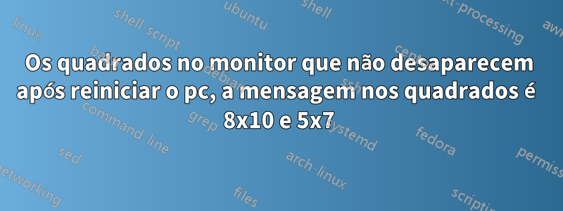 Os quadrados no monitor que não desaparecem após reiniciar o pc, a mensagem nos quadrados é 8x10 e 5x7