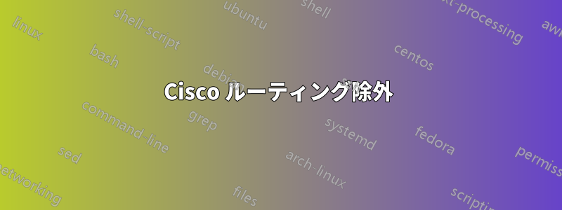 Cisco ルーティング除外