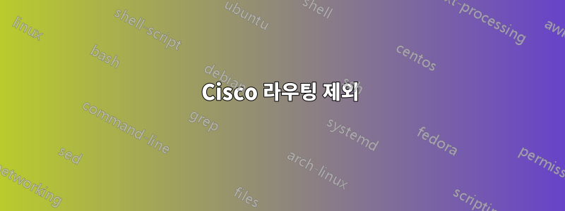 Cisco 라우팅 제외