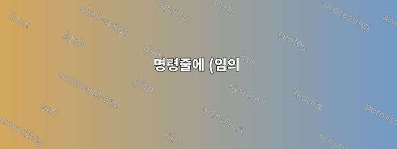 명령줄에 (임의) 인수가 없으면 Windows 10에서 Delphi 7 프로그램이 시작되지 않습니다.
