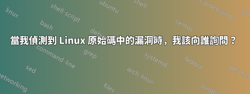 當我偵測到 Linux 原始碼中的漏洞時，我該向誰詢問？