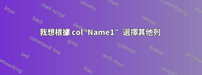 我想根據 col 'Name1" 選擇其他列