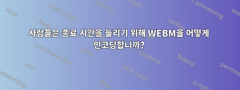 사람들은 종료 시간을 늘리기 위해 WEBM을 어떻게 인코딩합니까?