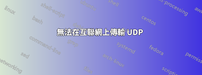 無法在互聯網上傳輸 UDP