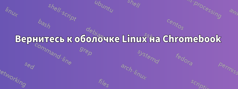 Вернитесь к оболочке Linux на Chromebook