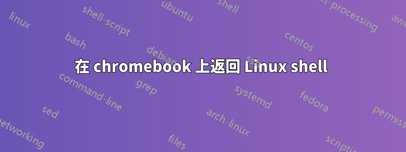 在 chromebook 上返回 Linux shell