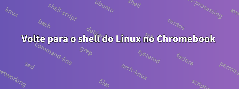 Volte para o shell do Linux no Chromebook