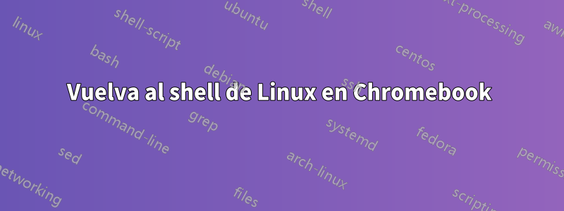 Vuelva al shell de Linux en Chromebook