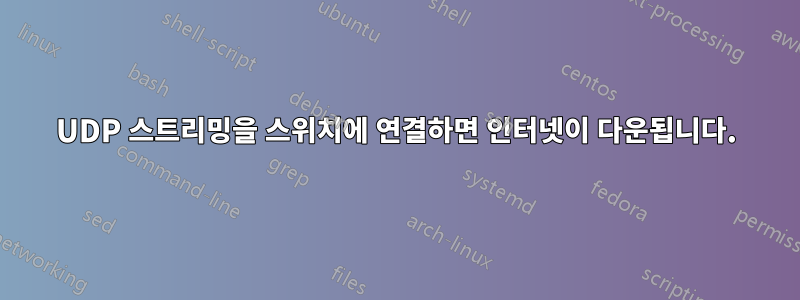 UDP 스트리밍을 스위치에 연결하면 인터넷이 다운됩니다.