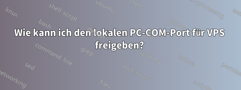 Wie kann ich den lokalen PC-COM-Port für VPS freigeben?
