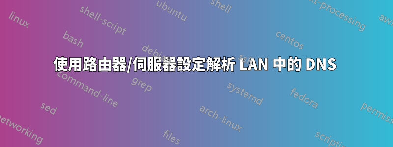 使用路由器/伺服器設定解析 LAN 中的 DNS