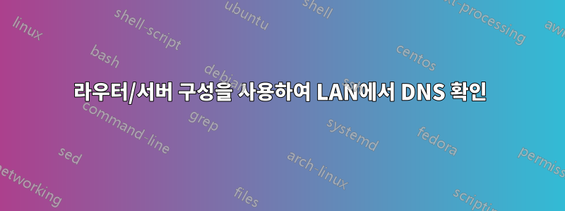 라우터/서버 구성을 사용하여 LAN에서 DNS 확인
